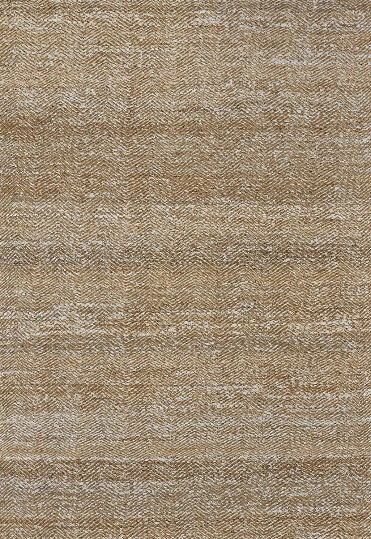 Goldfield | Gardi